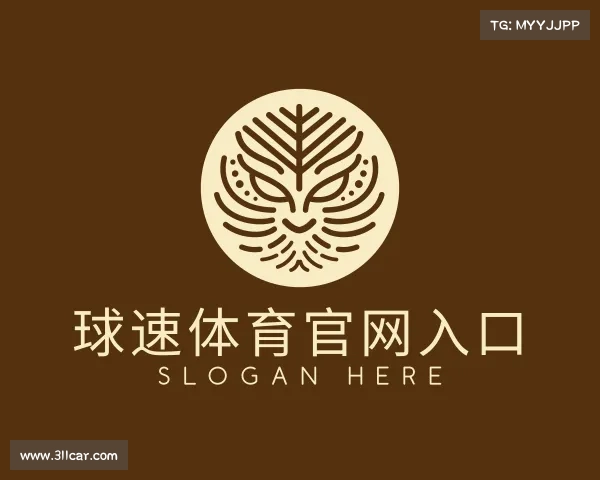 了解球速体育